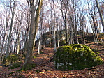 DSCN9294