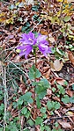 20171110_114752