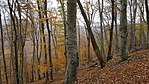 20171110_114708