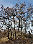 20171128_105045