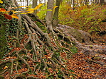 IMG_9030