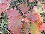 DSCN1705