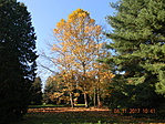 DSCN1728