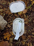 20171103_120025[1]