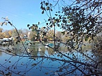 20171104_113759[1]