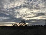 2017-11-01 15.47.21