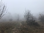 2017-11-25 11.04.24