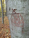 20171111_095454