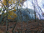 DSC03540