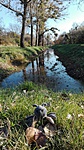 IMG_20171104_132254