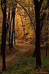 HER_3129_2_tn
