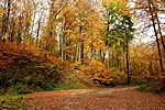 HER_3151_2_tn