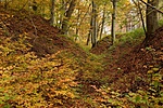 HER_3077__2_tn