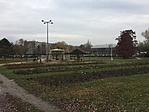 IMG_2003