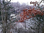 IMG_20171230_100813