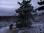 IMG_20171230_111829