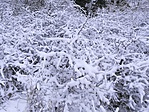 IMG_20171230_112619