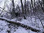 IMG_20171230_114229