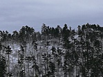 IMG_20171230_120344