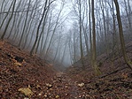 20171226_113145