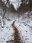 2017-12-30 12.36.34R