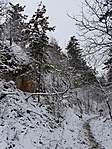 2017-12-30 12.38.28R