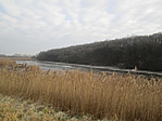 IMG_8710