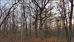20171128_141827