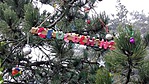 IMG_20171226_121306