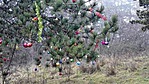IMG_20171226_120610