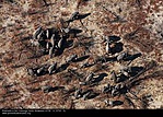2DT-074-075