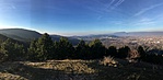 IMG_4481
