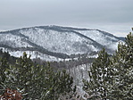 DSCF3829