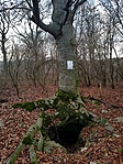 20171216_154143