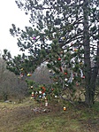 IMG_20171228_141122_118