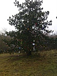 IMG_20171228_141250_103