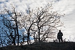 _DSC1778
