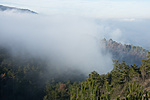 _DSC1756