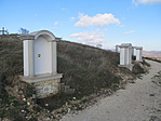 IMG_7411