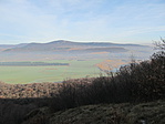 IMG_7437
