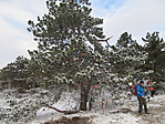 IMG_7657