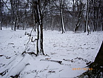 IMGP5450