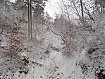 DSCN2511