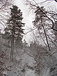DSCN2513