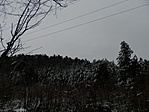PC030047