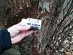 IMG_20171222_113335