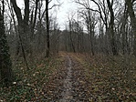 IMG_20171222_113456