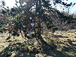 IMG_20171225_123835
