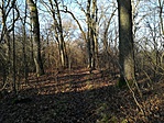 IMG_20171230_094522