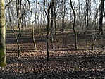 IMG_20171230_094816